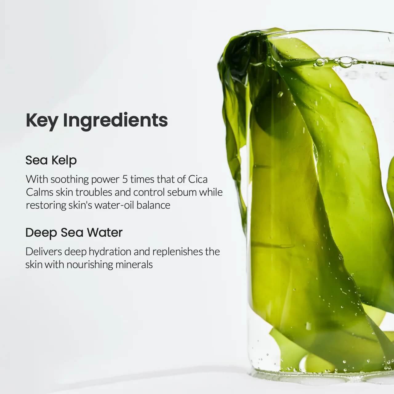 BIODANCE Refreshing Sea Kelp Real Deep Mask (1PC/4PC)